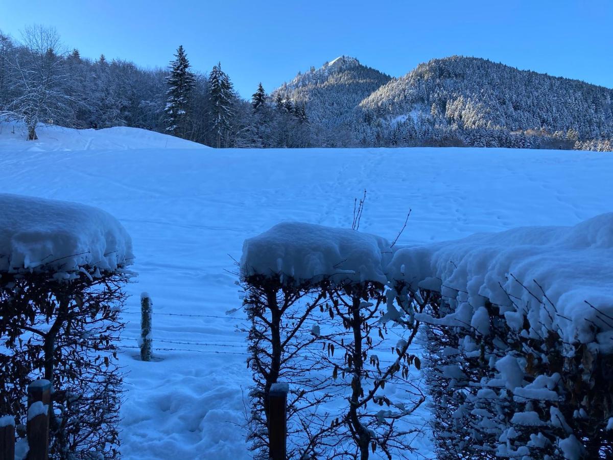 Appartement 2 Pieces Pieds Des Pistes Terrasse Face A La Montagne Бернекс Экстерьер фото